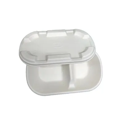 Boîte d'emballage moulée par pulpe de bagasse de fibre d'emballage de pâte à papier de conception libre