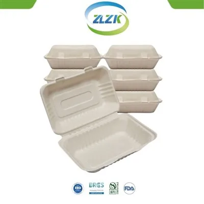 Boîte à lunch à clapet pour restauration rapide de 9x6 pouces